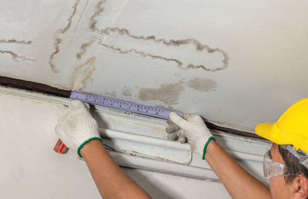 Reliable Structural Drying contractor in Shelbyville, IL by Water Damage Irwin